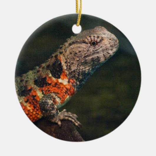 Shinisaurus crocodilurus keramisch ornament (Voorkant)