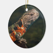 Shinisaurus crocodilurus keramisch ornament (Links)