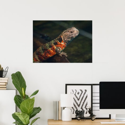 Shinisaurus crocodilurus poster (Thuiskantoor)