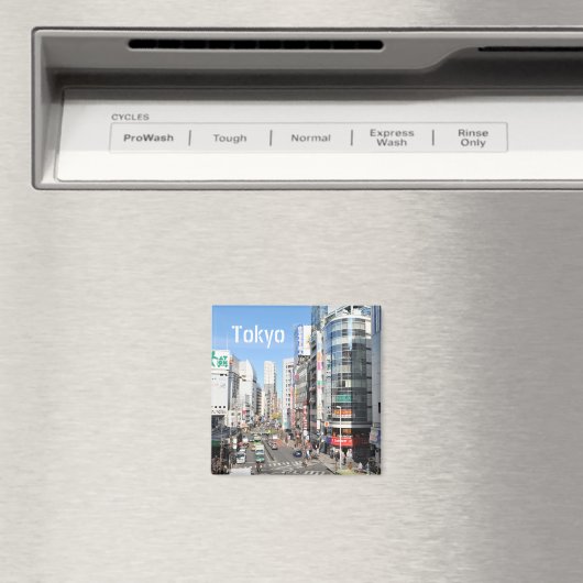 Shinjuku district in Tokio, Japan Magneet (Insitu (Vaatwasser))