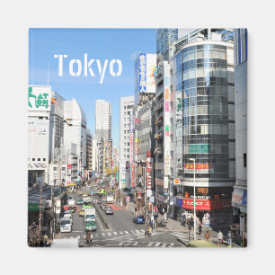 Shinjuku district in Tokio, Japan Magneet