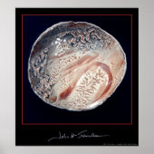 Shino Bowl ~ 1988 Poster (Voorkant)