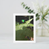 Shiny Beatle briefkaart (Staand voorkant)