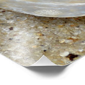 Shiny opal shell op zandstrand close-up foto afdruk (Hoek)