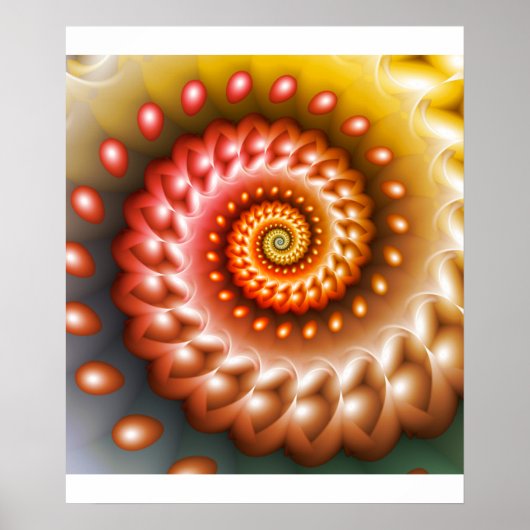 Shiny Peach Shell Poster (Voorkant)