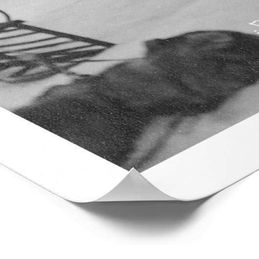 Ship Arrival Nome, Alaska 1914 Poster (Hoek)