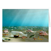 Ship-in-a-Bottle Wreck Kaart (Voorkant Horizontaal)