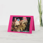 Ship Tzu Verjaardag Kaart Gevouwen Wenskaart (Voorkant)