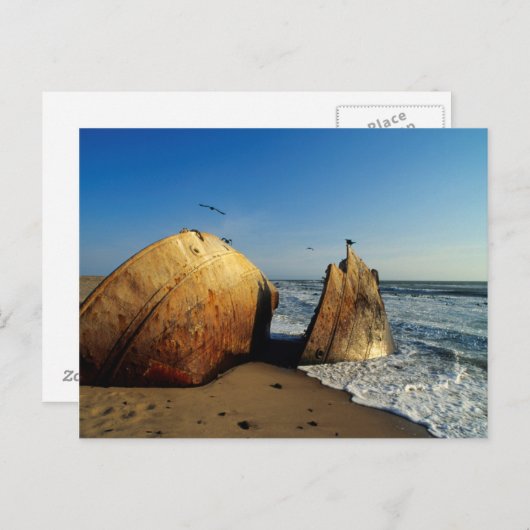 Shipwreck On Beach, Skeleton Coast, Namibia Briefkaart (Voorkant / Achterkant)