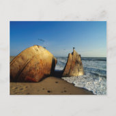 Shipwreck On Beach, Skeleton Coast, Namibia Briefkaart (Voorkant)