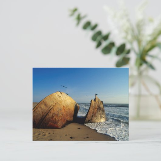 Shipwreck On Beach, Skeleton Coast, Namibia Briefkaart (Staand voorkant)