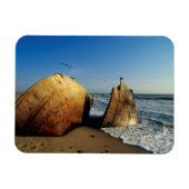 Shipwreck On Beach, Skeleton Coast, Namibia Magneet (Horizontaal)