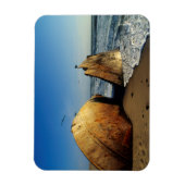 Shipwreck On Beach, Skeleton Coast, Namibia Magneet (Verticaal)