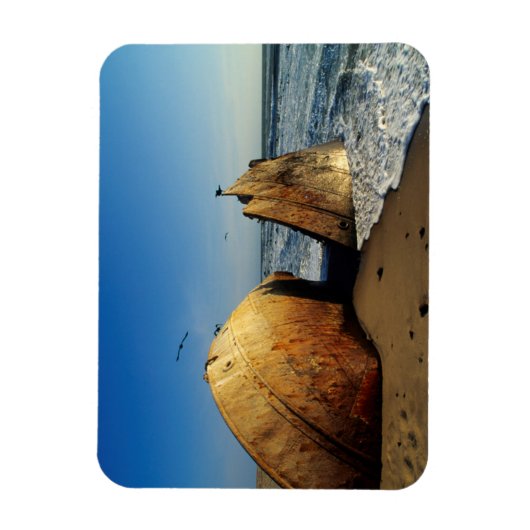 Shipwreck On Beach, Skeleton Coast, Namibia Magneet (Verticaal)