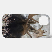 Shiras Bull Moose Case-Mate iPhone Case (Achterkant (horizontaal))