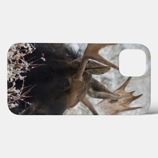 Shiras Bull Moose Case-Mate iPhone Case (Achterkant (horizontaal))