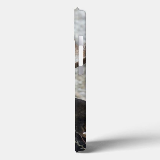 Shiras Bull Moose Case-Mate iPhone Case (Achterkant / Links)