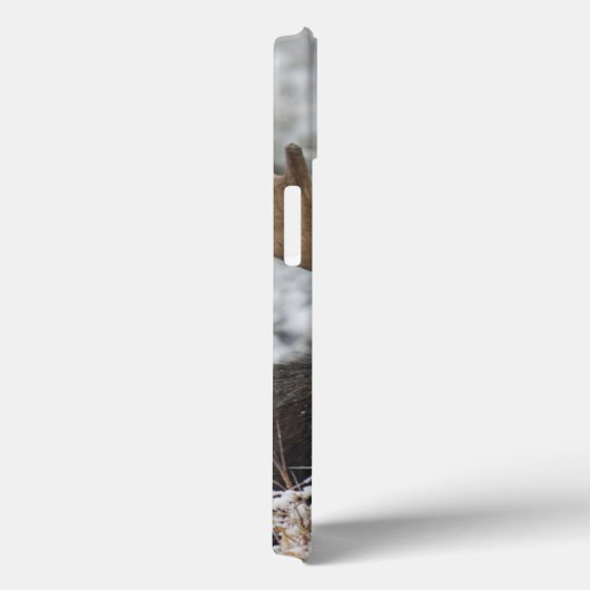 Shiras Bull Moose Case-Mate iPhone Case (Achterkant / Rechts)