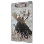 Shiras Bull Moose Klembord (Links)