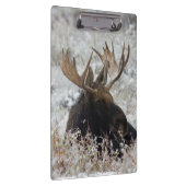 Shiras Bull Moose Klembord (Rechts)