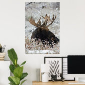 Shiras Bull Moose Poster (Thuiskantoor)