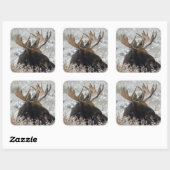 Shiras Bull Moose Vierkante Sticker (Vel)