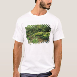Shiratani Unsuikyo, Yakushima, Kagoshima, Japan T-shirt