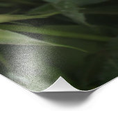 Shirdi Sai Baba Foto Afdruk (Hoek)