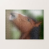 Shire Draft Horse Face Animal Legpuzzel (Horizontaal)