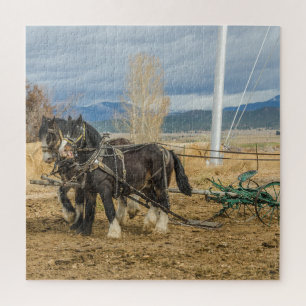 Shire Horses and Plow - 696 stuks Legpuzzel