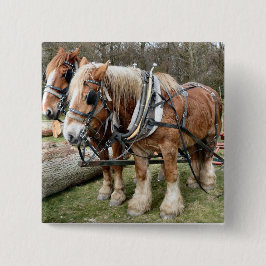 Shire Horses Vierkante Button 5,1 Cm
