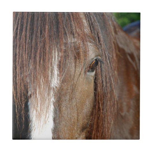 shire tegeltje (Voorkant)