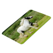 Shire verfpaard Flexibele Magneet (Linkerzijde)