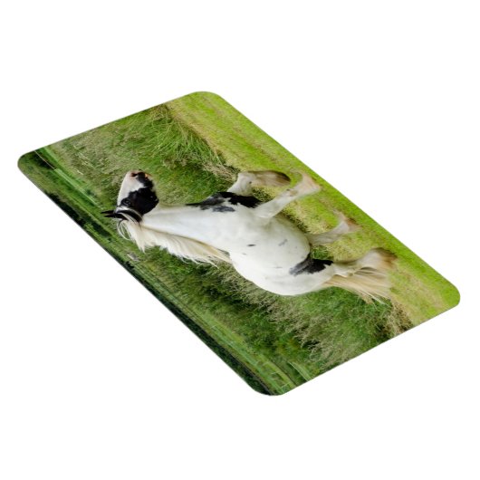 Shire verfpaard Flexibele Magneet (Rechterzijde)