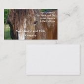 shire visitekaartje (Voorkant / Achterkant)