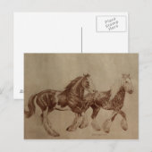 Shires Freedom Postcard Briefkaart (Voorkant / Achterkant)