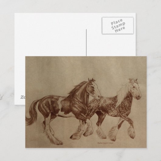 Shires Freedom Postcard Briefkaart (Voorkant / Achterkant)