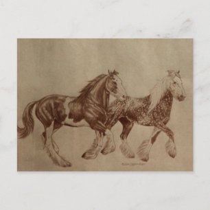 Shires Freedom Postcard Briefkaart