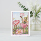 Shirley Poppy Fairy Briefkaart (Staand voorkant)