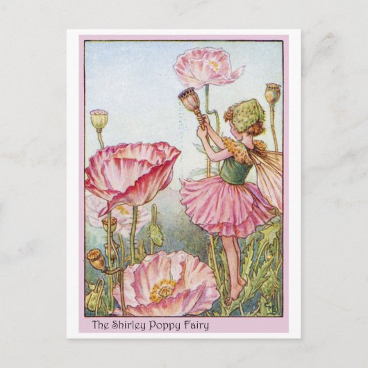 Shirley Poppy Fairy Briefkaart (Voorkant)