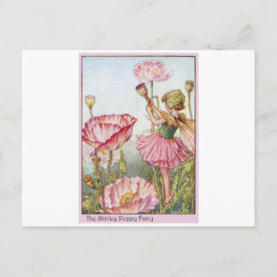 Shirley Poppy Fairy Briefkaart