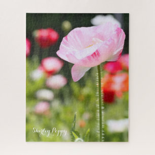 Shirley Poppy [Legpuzzel: 520P] Legpuzzel