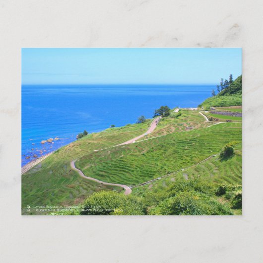 Shiroyone Senmaida Terraced Rice Fields:Briefkaart Briefkaart (Voorkant)