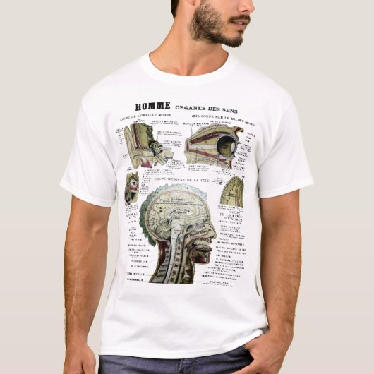  Shirt Anatomie (Voorkant)