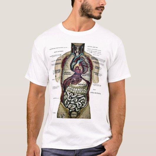 Shirt Anatomie (Voorkant)