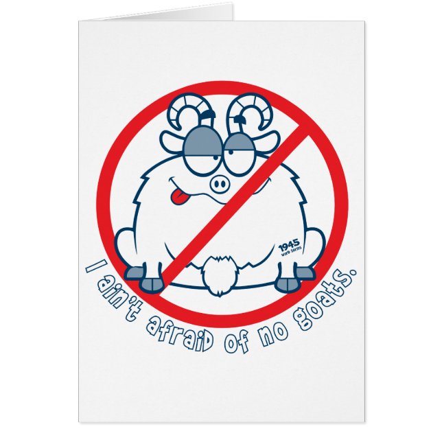 shirt cichorei (Voorkant)