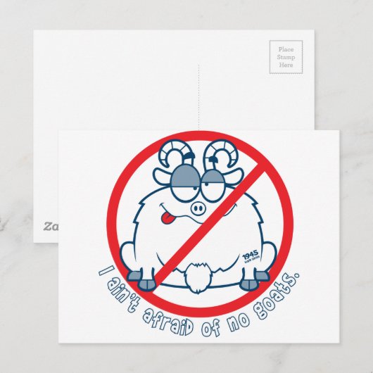 shirt cichorei briefkaart (Voorkant / Achterkant)