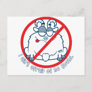 shirt cichorei briefkaart