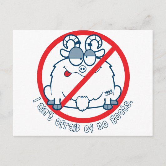 shirt cichorei briefkaart (Voorkant)