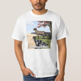 shirt "hoofddeksels"